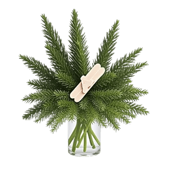 Ivory Blossom Radiance