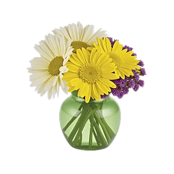 Delicate Petal Cascade