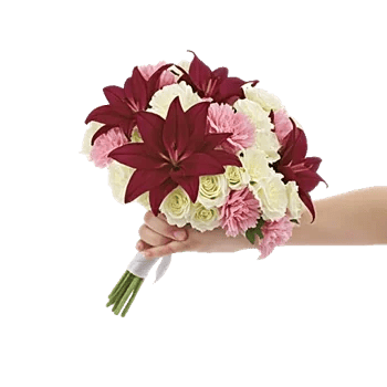 Delicate Petal Cascade