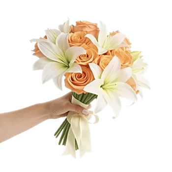 Blushing Rose Symphony