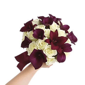 Elegant Calla Lilies