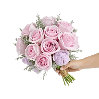 Pastel Pink Roses
