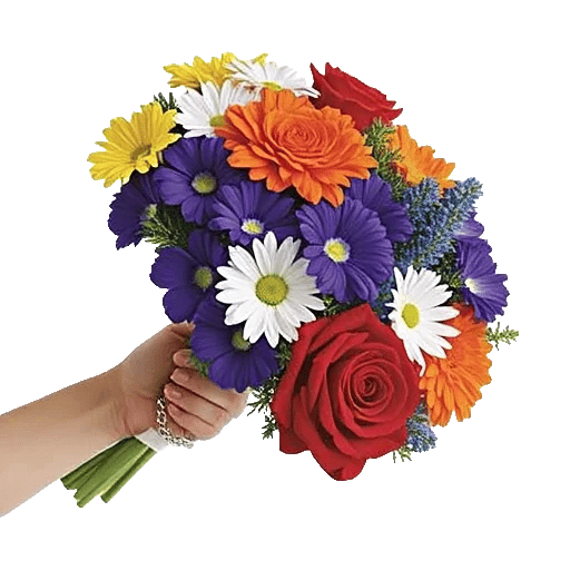 Blossom Harmony Display