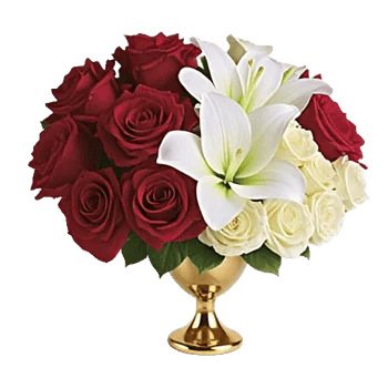 Crimson Rose Elegance