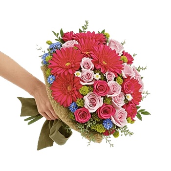 Coral Blossom Harmony