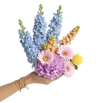 Serenity Blossom Grace