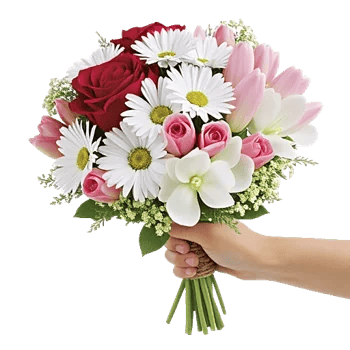 Crimson Rose Elegance