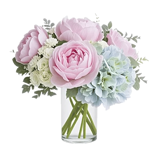 Petal Radiance Bliss