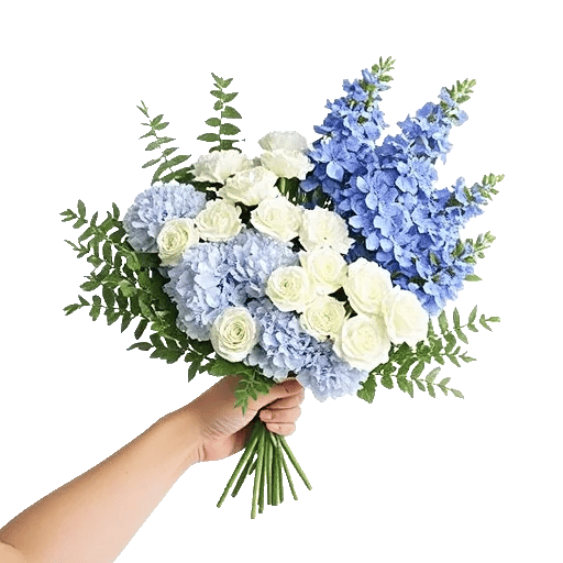 Sapphire Bloom Whisper
