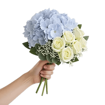 Serene Petal Harmony