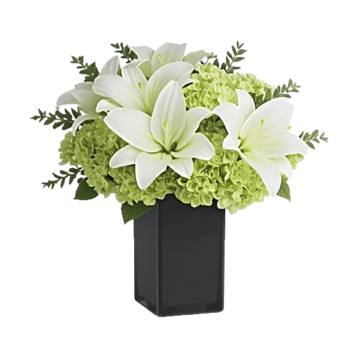 Ivory Blossom Radiance