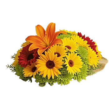 Radiant Bloom Cascade