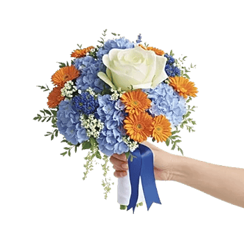 Serene Petal Harmony