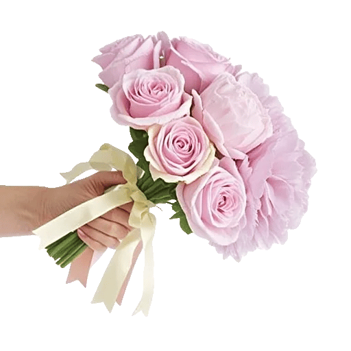 Pastel Pink Roses