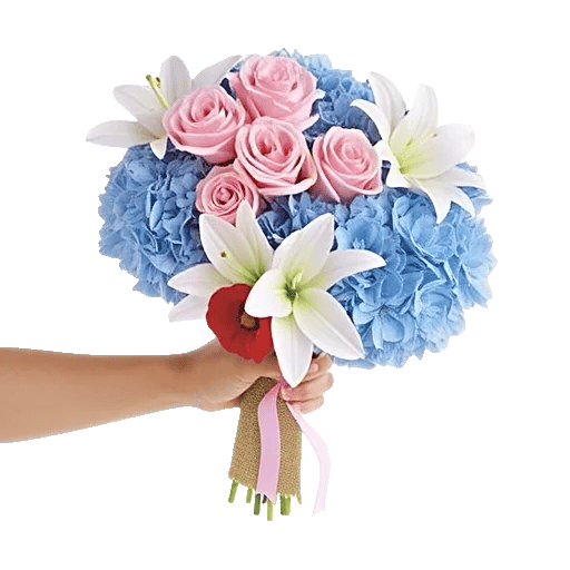 Blushing Rose Symphony