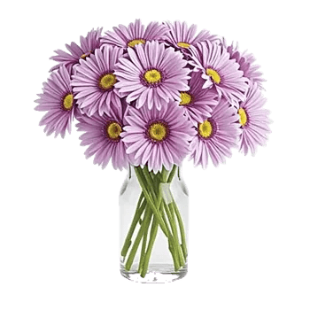 Ivory Blossom Radiance