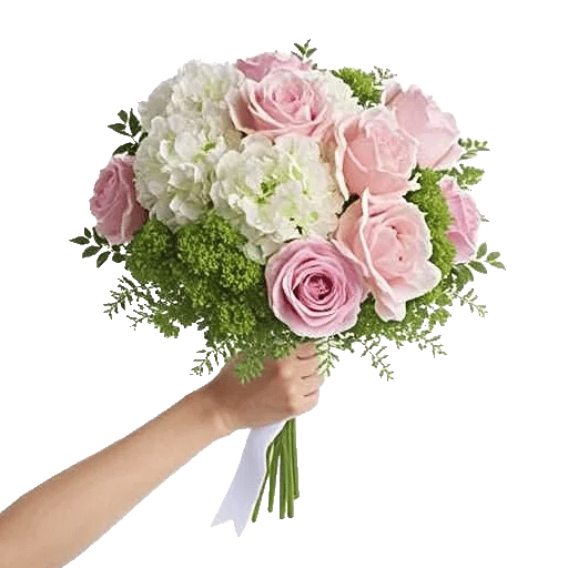 Ivory Blossom Radiance