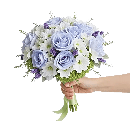 Serene Petal Harmony