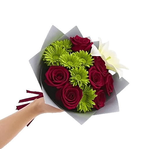 Crimson Rose Elegance