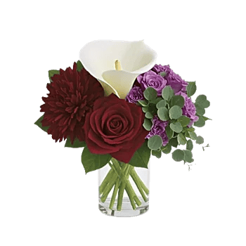 Elegant Calla Lilies