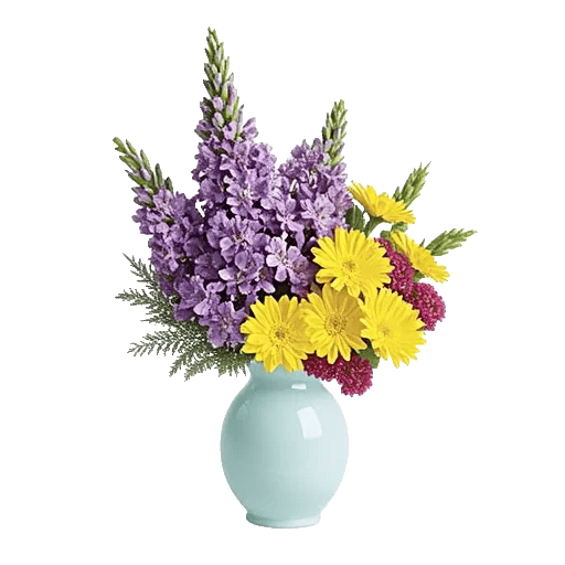 Ivory Blossom Radiance