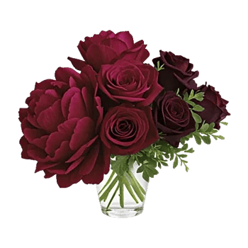 Petal Radiance Bliss