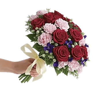 Crimson Rose Elegance