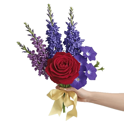 Crimson Rose Elegance