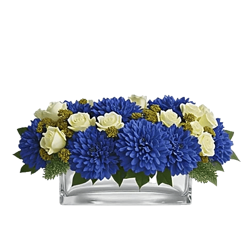 Elegant Blue Roses