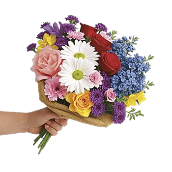 Blossom Harmony Display