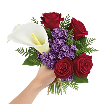 Elegant Calla Lilies