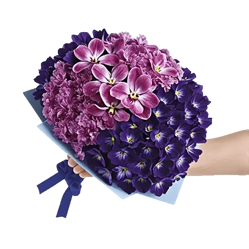 Serenity Orchid Bloom