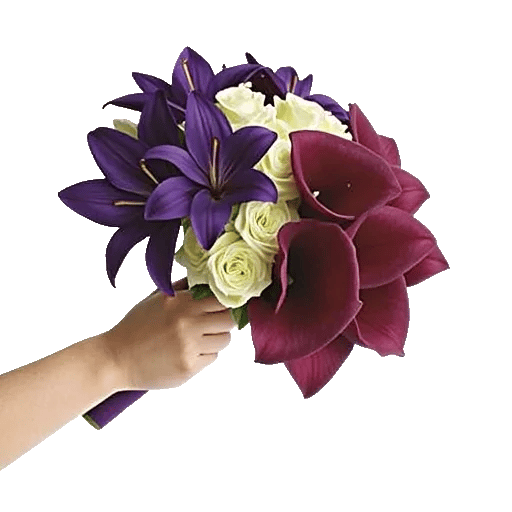 Elegant Calla Lilies