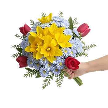 Blossom Harmony Display