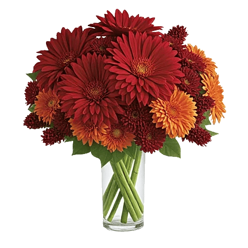 Crimson Blossom Harmony