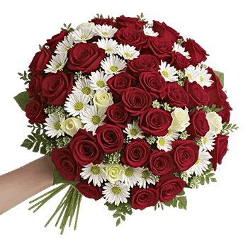 Crimson Rose Elegance