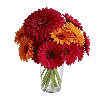 Crimson Blossom Harmony