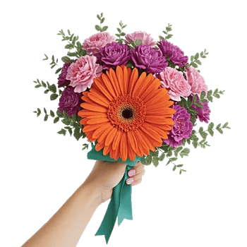 Petal Harmony Bliss
