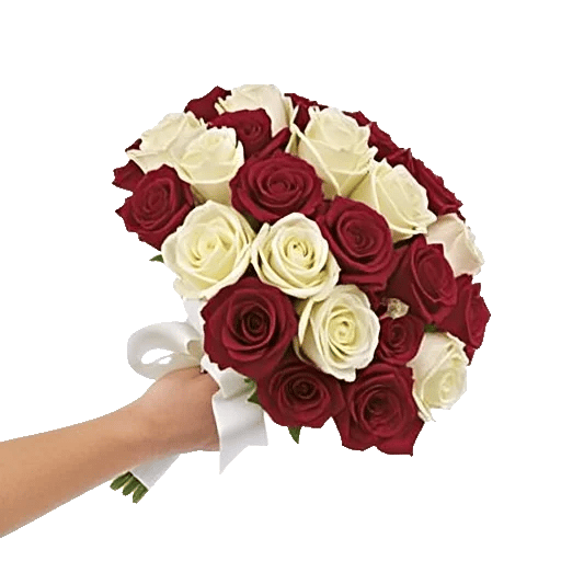 Crimson Rose Elegance