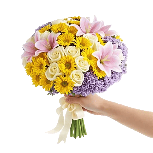 Blushing Rose Symphony