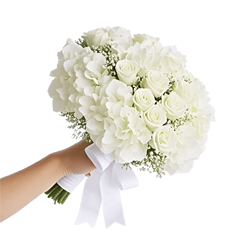 Serene Petal Harmony