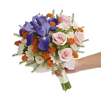 Ivory Blossom Radiance