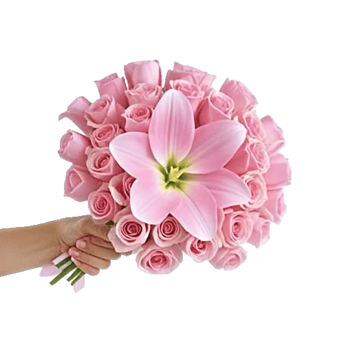 Blushing Rose Symphony