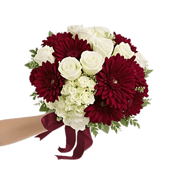 Blushing Rose Symphony