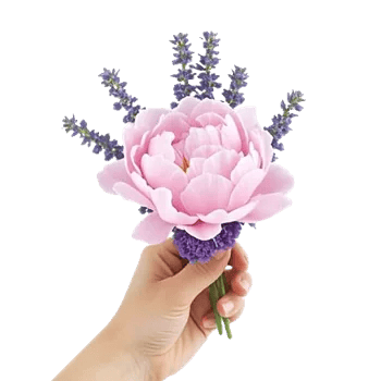 Peony Petal Harmony