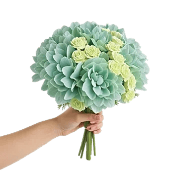 Serene Petal Harmony