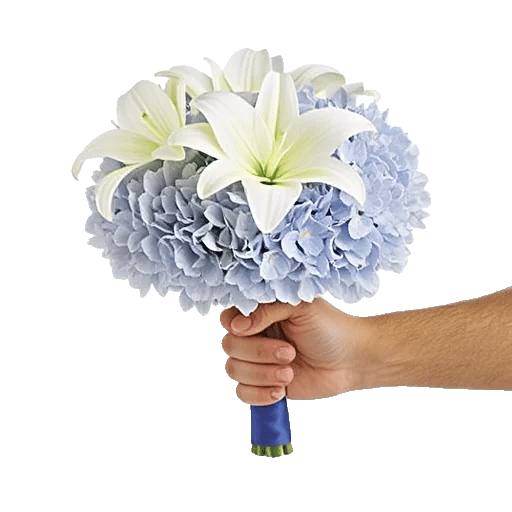 Serene Petal Harmony