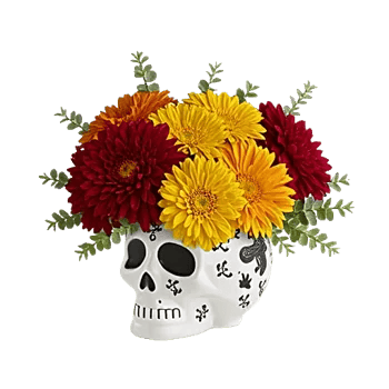 Modern White Orchids