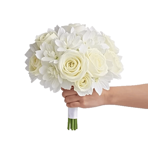 Petal Softness Display