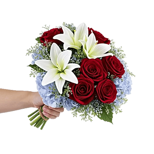 Crimson Rose Elegance